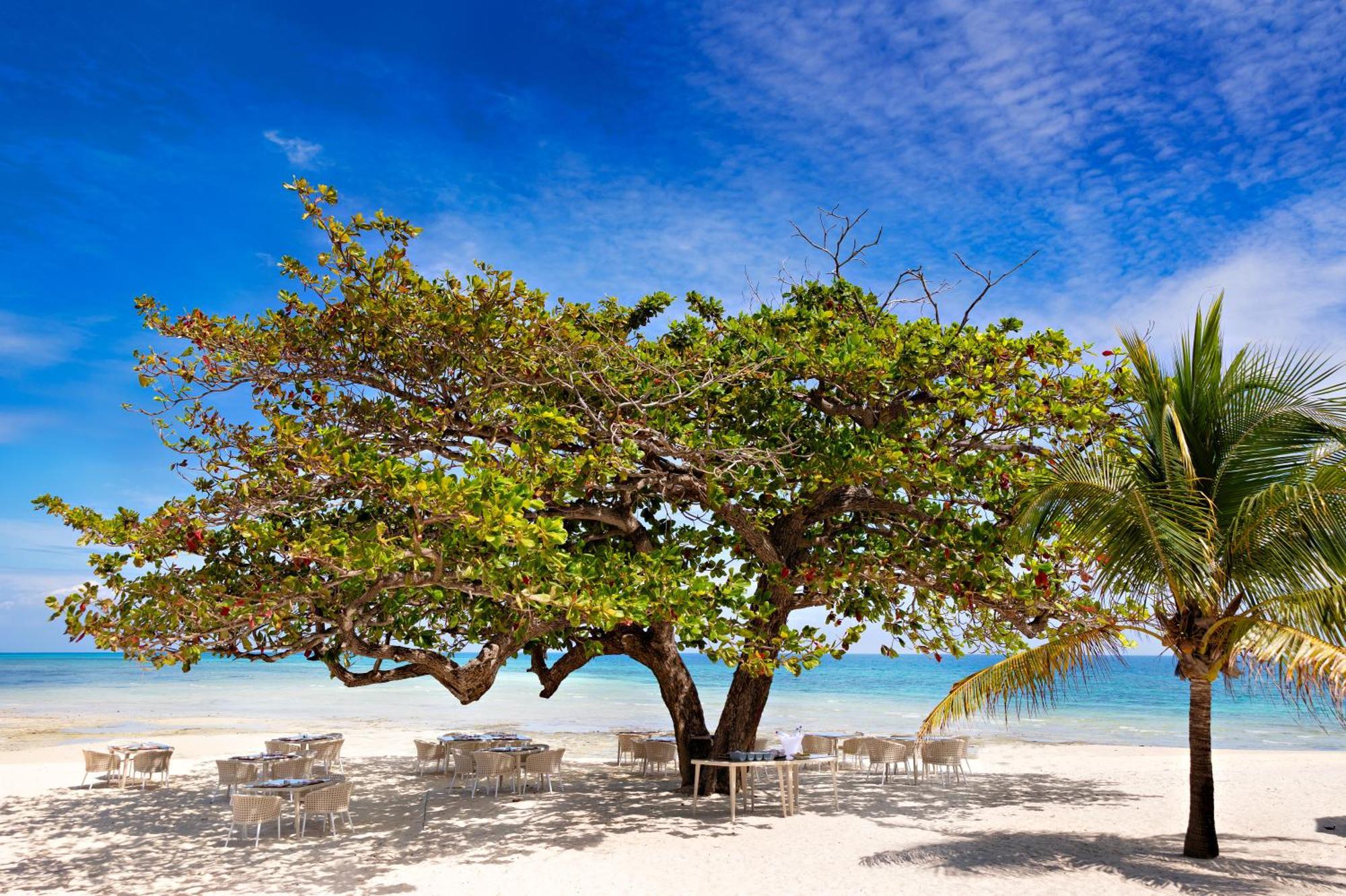 Bawe Island Zanzibar Hotel Ngoại thất bức ảnh